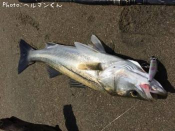 �����Х�