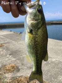 ¥Ö¥é¥Ã¥¯¥Ð¥¹