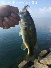 �֥�å��Х�