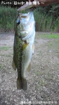 �֥�å��Х�