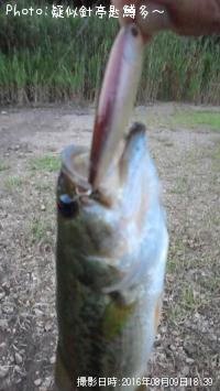 �֥�å��Х�