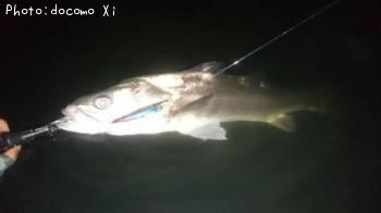 �����Х�