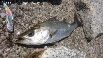 �����Х�