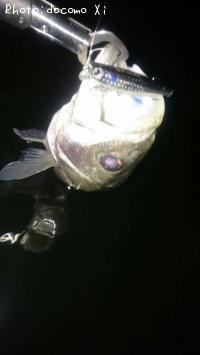 �����Х�