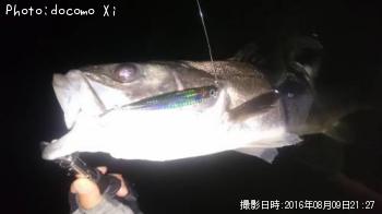 �����Х�