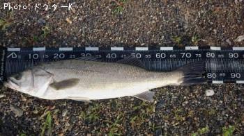 �����Х�