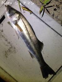 �����Х�