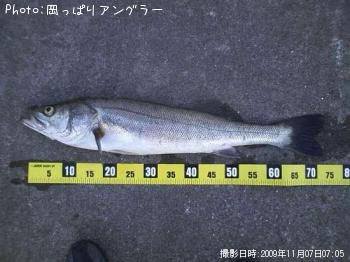 �����Х�