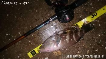 �����ϥ�