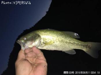 �֥�å��Х�