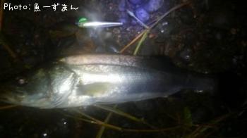 �����Х�