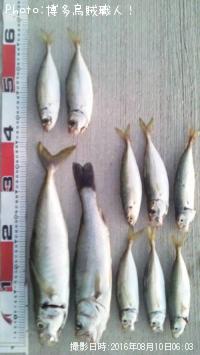 �ޥ륢���������������Х�