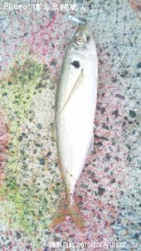 �ޥ륢���������������Х�