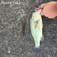 ¥Ö¥é¥Ã¥¯¥Ð¥¹