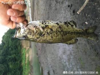 �֥�å��Х�