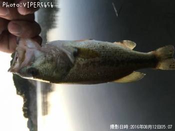 ¥Ö¥é¥Ã¥¯¥Ð¥¹