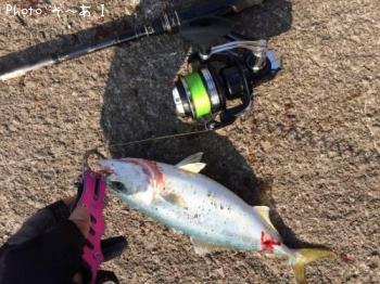 ¥¤¥Ê¥À¡Ê¥½¥Ã¥³¡Ë