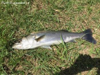 �����Х�