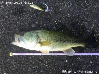 �֥�å��Х�