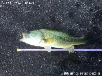 �֥�å��Х�