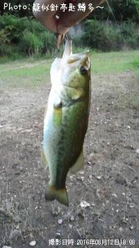 �֥�å��Х�