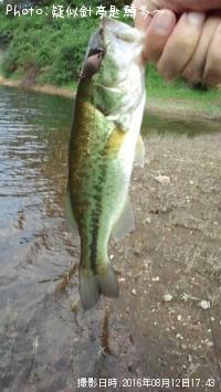 �֥�å��Х�