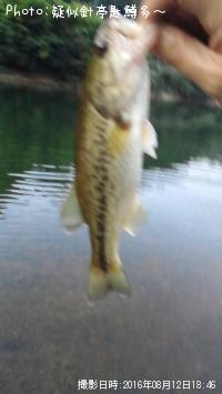 �֥�å��Х�