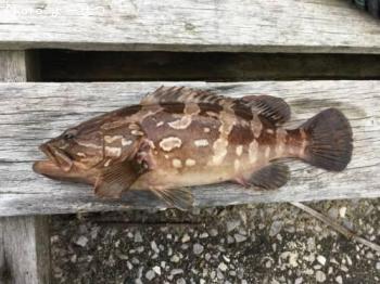 �����û�