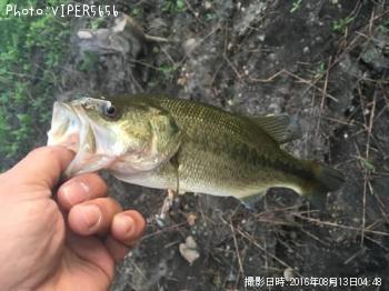 �֥�å��Х�