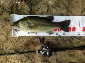 �֥�å��Х�