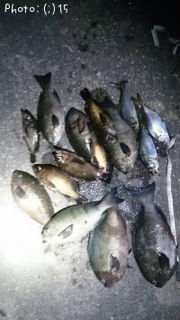 �������ᤸ�ʡ���Ф�