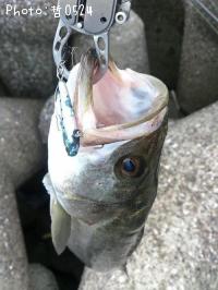 �����Х�