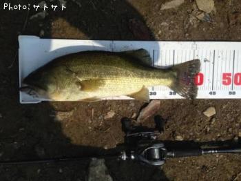 �֥�å��Х�