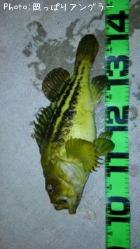 ���ޥ���