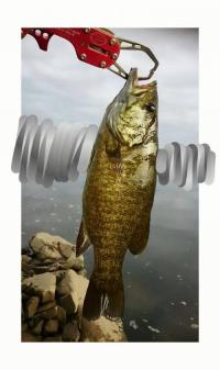 ���⡼��ޥ����Х�