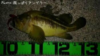 ���ޥ���