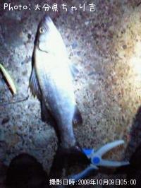 �ҥ饹����