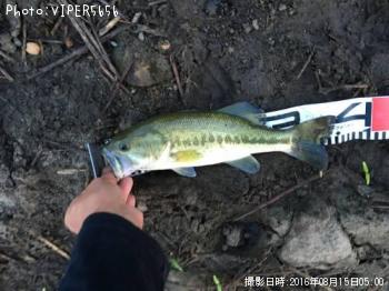 ¥Ö¥é¥Ã¥¯¥Ð¥¹