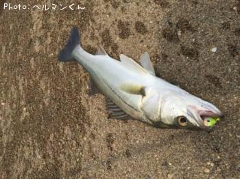 �����Х�