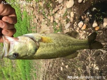 ¥Ö¥é¥Ã¥¯¥Ð¥¹