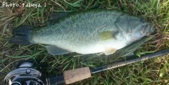 �֥�å��Х�