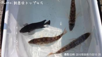 �ե��ե�����