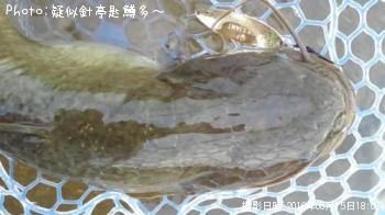 �ʥޥ�