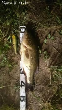 �֥�å��Х�