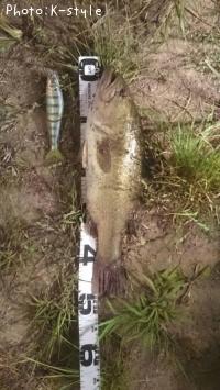 ¥Ö¥é¥Ã¥¯¥Ð¥¹