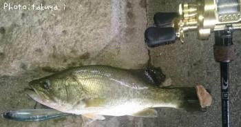 �֥�å��Х�