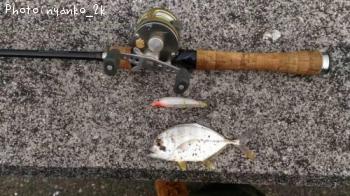 ��å�����