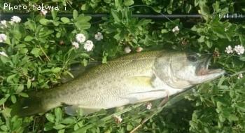 ¥Ö¥é¥Ã¥¯¥Ð¥¹