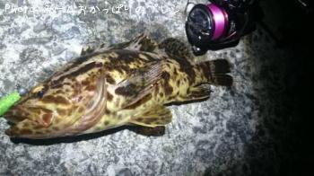 �����Υ���Х�