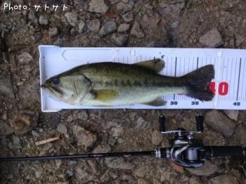 ¥Ö¥é¥Ã¥¯¥Ð¥¹